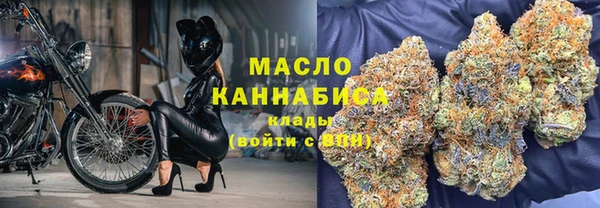 ECSTASY Пересвет
